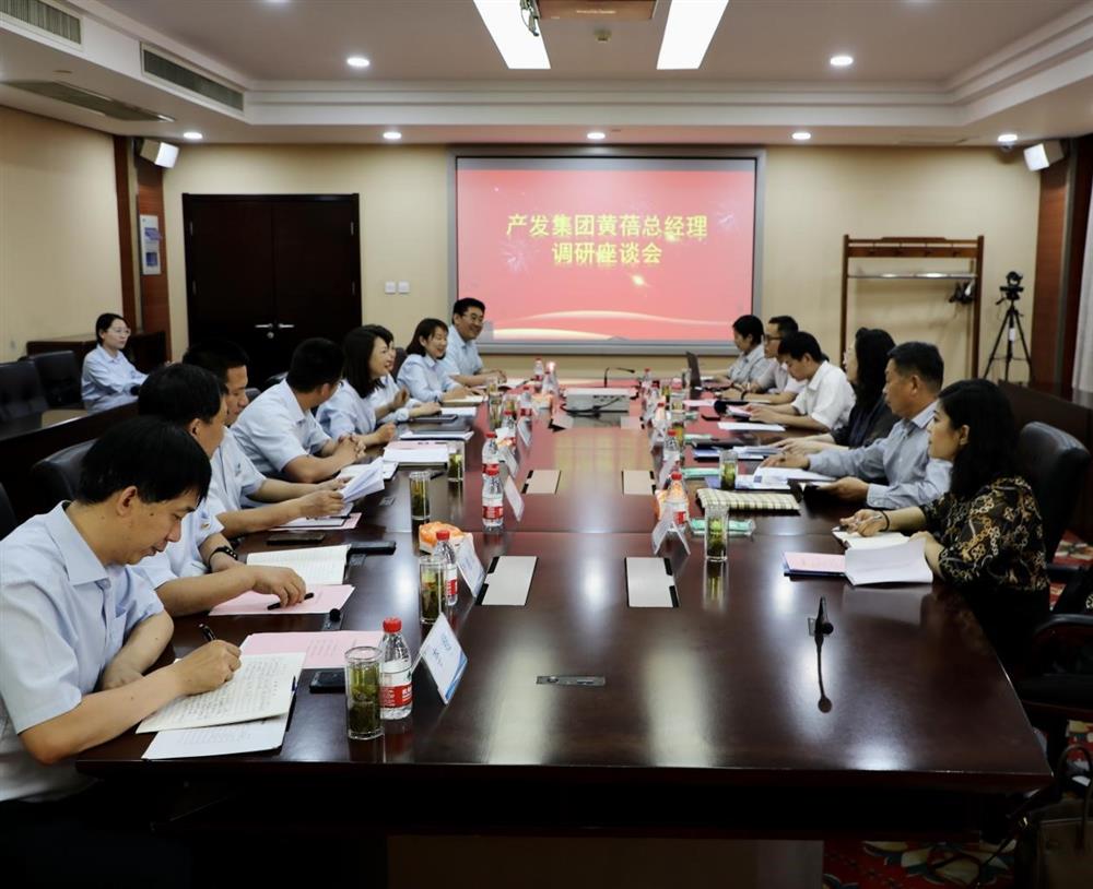 集團(tuán)黨委副書記、總經(jīng)理黃蓓帶隊(duì)調(diào)研濟(jì)南市工程咨詢?cè)? class=